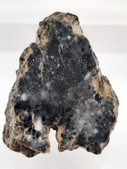 Bechar 003 · Mondbrekzie-Endstück · 11,00 g