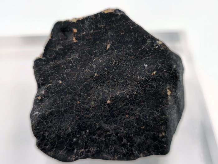 HaH 346 · orientiertes L6-Individuum · 103,49 g